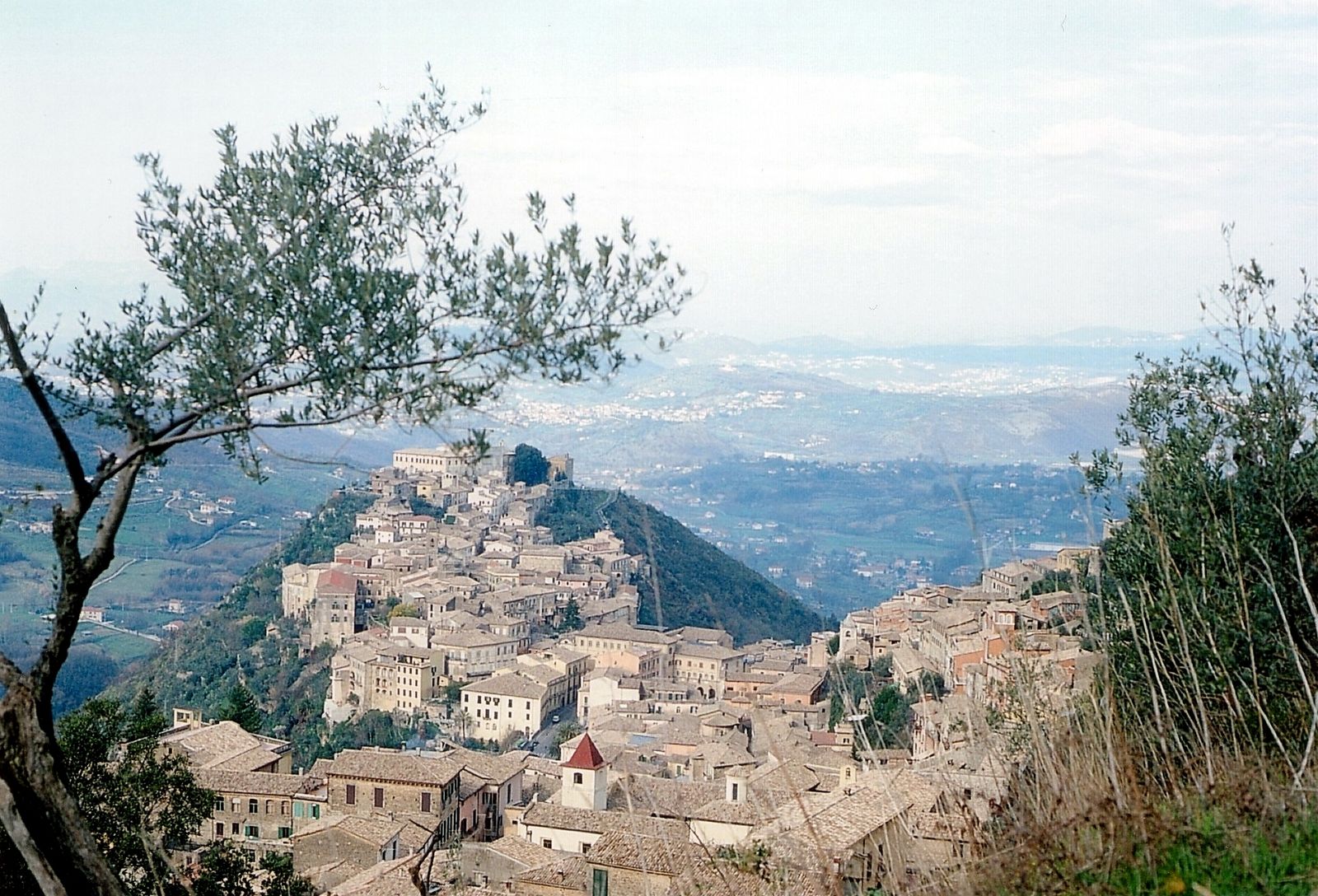 REGOLAMENTO PER LA DISCIPLINA DEL CANONE PATRIMONIALE DI OCCUPAZIONE DEL SUOLO PUBBLICO, DI ESPOSIZIONE PUBBLICITARIA E DEL CANONE MERCATALE.